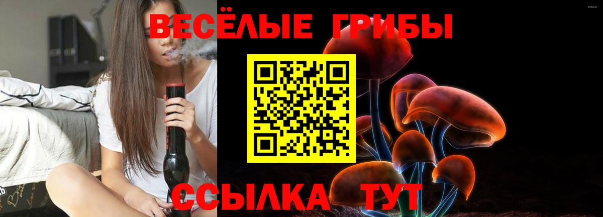 Чернушка  Галлюциногенные грибы Psilocybine cubensis  Вход с VPN  Псилоцибиновые грибы Magic Shrooms 